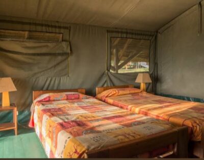 Bwana Tembo Safari Camp