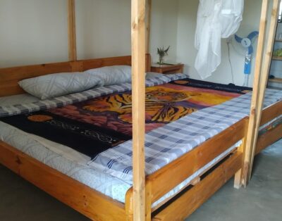 Elephant Home Garden