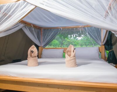 Queen Elizabeth Bush Lodge