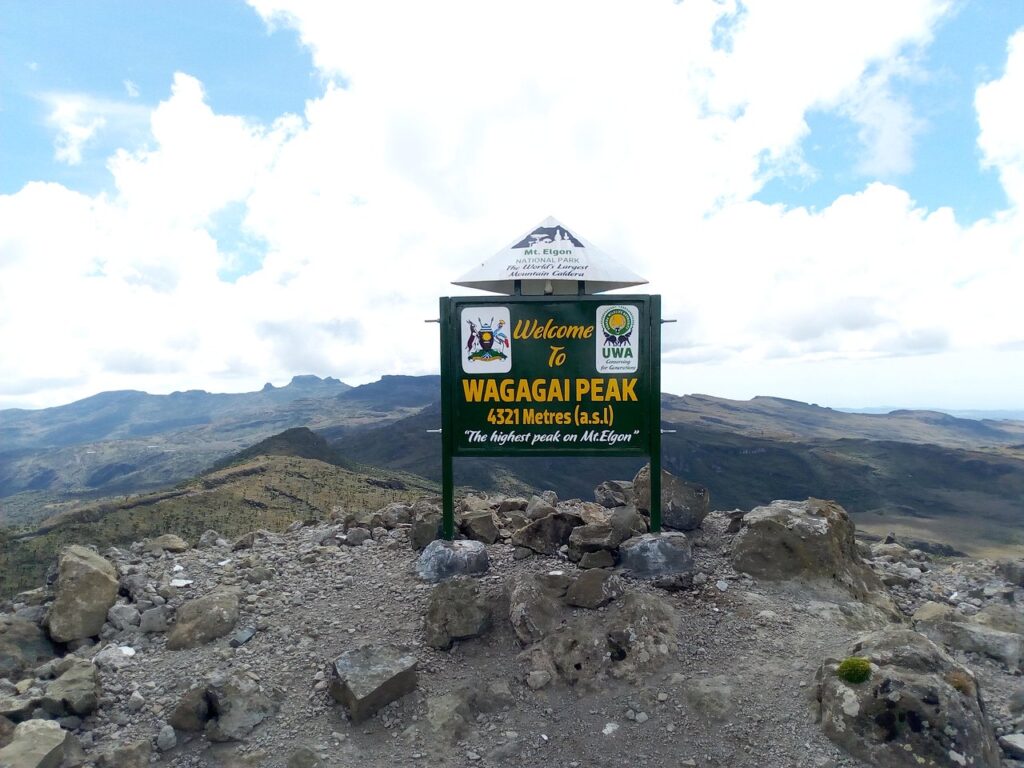 Wagagai peak standing at   4,321 metres and ranking second tallest in Uganda.