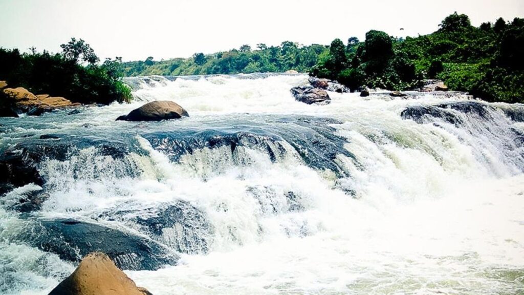 Jinja Adventure Guide 2026: 15 Insider Things to Do & Stays The powerful cascading white water rapids of Kalagala Falls on the Victoria Nile in Jinja Uganda.