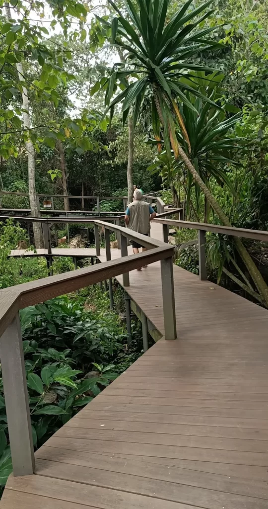 Lemala Wild Waters Lodge Jinja: The Ultimate Private Island Retreat. Raised timber walkways winding through the ancient riverine forest of Kalagala Island at Lemala Wild Waters Lodge, connecting private guest suites to the main lodge.