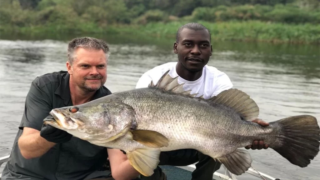 Jinja Adventure Guide 2026: 15 Insider Things to Do & Stays Two men holding a large Nile Perch caught during a sport fishing excursion on the River Nile in Jinja Uganda.