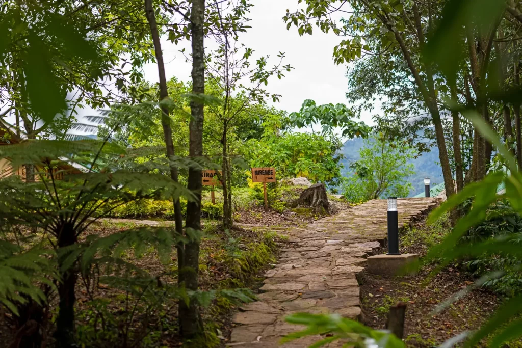 Log cabin exterior at Bwindi Orugano Lodge showing the stone pathway wooden steps and elevated veranda facing the mountains