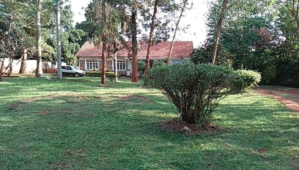 A wide green lawn with mature trees leading toward Studio 62 Guest House, a charming red-roofed stone bungalow partially hidden by a manicured hedge.