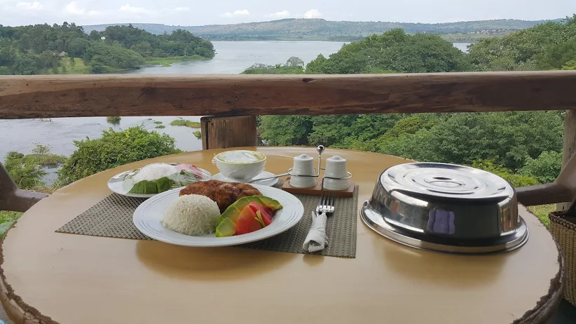 A plated meal of rice, chicken, and avocado on a table overlooking a vast, peaceful stretch of the River Nile and green hills.