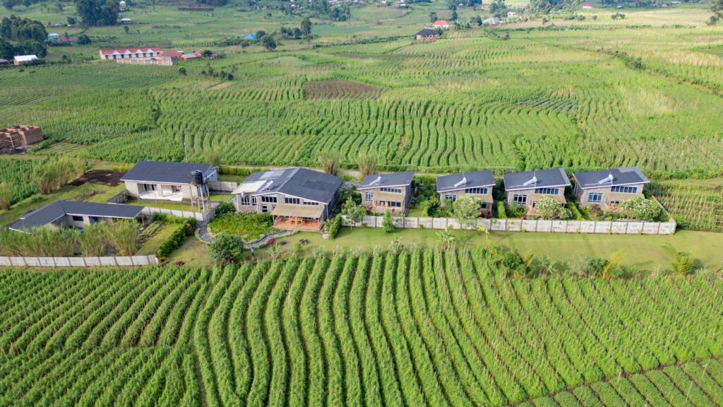 Imbogo Diners and Lounge aerial drone view showing the four executive suites nestled on a terraced green hillside in Kisoro Uganda