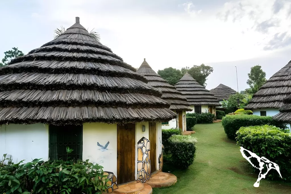 Bungee Jumping in Jinja: The Ultimate Guide to Uganda’s Adventure Capital Traditional thatched cottages surrounded by manicured tropical lawns at Kingfisher Safaris Resort Hotel, showcasing a premier accommodation choice for where to stay in jinja