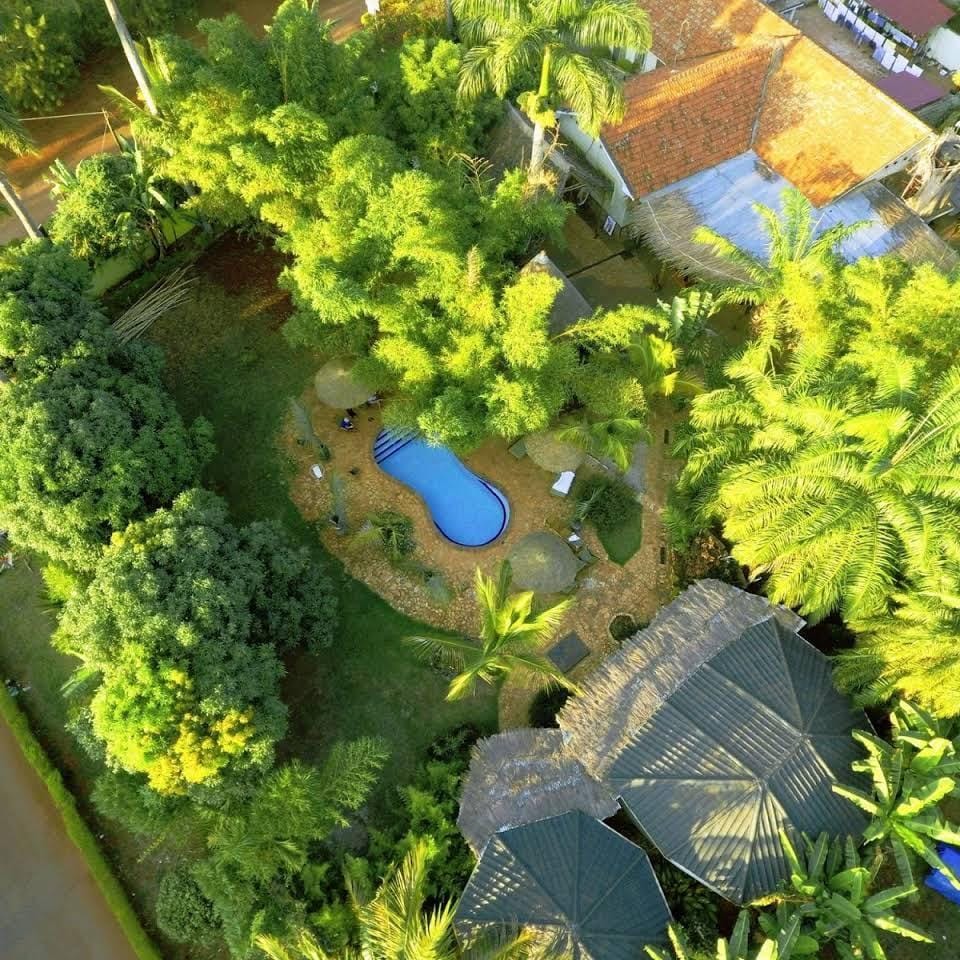 An aerial drone photograph showing the kidney-shaped swimming pool tucked inside the lush green garden canopy at Afro Smiles Hotel & Guest House.