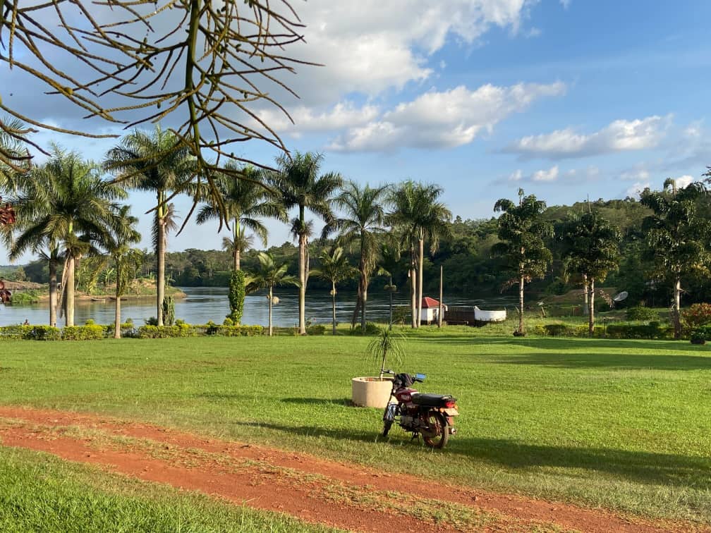 Bungee Jumping in Jinja: The Ultimate Guide to Uganda’s Adventure Capital A lush, multi-level garden lawn with neatly manicured green hedges and tropical palm trees outside a cozy boutique lodge, showcasing a serene accommodation choice for where to stay in Jinja.