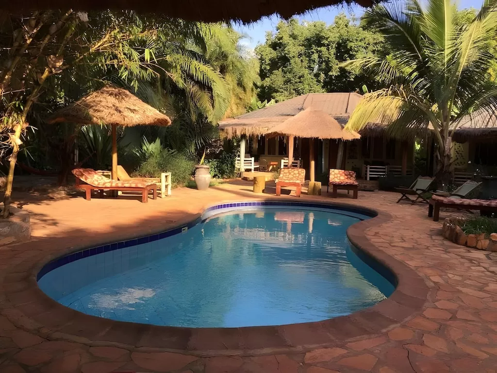 An afternoon view of the curved kidney-shaped swimming pool framed by dense bamboo, tall palm trees, manicured hedges, and wooden lounge chairs on the stone deck at Afro Smiles Hotel & Guest House.