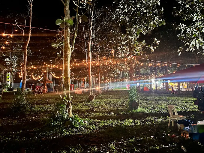 A night view of the illuminated campsite under tall trees decorated with glowing warm string lights at Adrift Overland Camp during Nyege Nyege festival in Jinja Uganda.